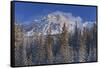 Canada, Alberta, Jasper National Park. Mount Kerkeslin in Canadian Rocky Mountains.-Jaynes Gallery-Framed Stretched Canvas