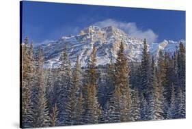 Canada, Alberta, Jasper National Park. Mount Kerkeslin in Canadian Rocky Mountains.-Jaynes Gallery-Stretched Canvas