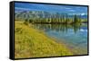 Canada, Alberta, Jasper National Park. Mountains and trees reflection in Talbot Lake.-Jaynes Gallery-Framed Stretched Canvas