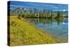 Canada, Alberta, Jasper National Park. Mountains and trees reflection in Talbot Lake.-Jaynes Gallery-Stretched Canvas