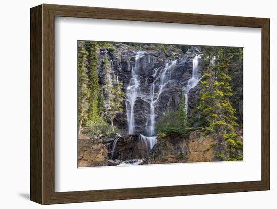 Canada, Alberta, Jasper National Park, Tangle Falls-Jamie & Judy Wild-Framed Photographic Print