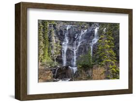 Canada, Alberta, Jasper National Park, Tangle Falls-Jamie & Judy Wild-Framed Photographic Print