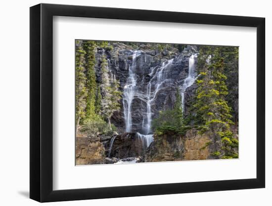 Canada, Alberta, Jasper National Park, Tangle Falls-Jamie & Judy Wild-Framed Photographic Print