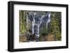 Canada, Alberta, Jasper National Park, Tangle Falls-Jamie & Judy Wild-Framed Photographic Print