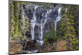 Canada, Alberta, Jasper National Park, Tangle Falls-Jamie & Judy Wild-Mounted Photographic Print