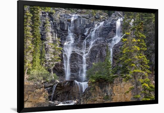 Canada, Alberta, Jasper National Park, Tangle Falls-Jamie & Judy Wild-Framed Photographic Print