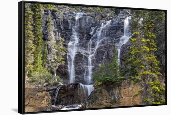 Canada, Alberta, Jasper National Park, Tangle Falls-Jamie & Judy Wild-Framed Stretched Canvas