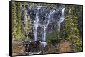 Canada, Alberta, Jasper National Park, Tangle Falls-Jamie & Judy Wild-Framed Stretched Canvas