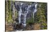 Canada, Alberta, Jasper National Park, Tangle Falls-Jamie & Judy Wild-Stretched Canvas