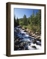 Canada, Alberta, Mountain Stream in Jasper National Park-Mike Grandmaison-Framed Photographic Print