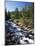 Canada, Alberta, Mountain Stream in Jasper National Park-Mike Grandmaison-Mounted Photographic Print