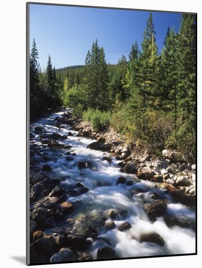 Canada, Alberta, Mountain Stream in Jasper National Park-Mike Grandmaison-Mounted Photographic Print