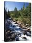 Canada, Alberta, Mountain Stream in Jasper National Park-Mike Grandmaison-Stretched Canvas