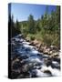 Canada, Alberta, Mountain Stream in Jasper National Park-Mike Grandmaison-Stretched Canvas