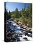 Canada, Alberta, Mountain Stream in Jasper National Park-Mike Grandmaison-Stretched Canvas