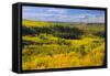Canada, Alberta, Peace River. Autumn foliage in mountains.-Jaynes Gallery-Framed Stretched Canvas