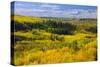 Canada, Alberta, Peace River. Autumn foliage in mountains.-Jaynes Gallery-Stretched Canvas