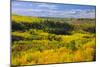 Canada, Alberta, Peace River. Autumn foliage in mountains.-Jaynes Gallery-Mounted Photographic Print