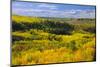 Canada, Alberta, Peace River. Autumn foliage in mountains.-Jaynes Gallery-Mounted Photographic Print