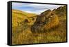 Canada, Alberta, Red Rock Coulee Preserve. Limestone Rock on Hillside-Jaynes Gallery-Framed Stretched Canvas