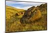 Canada, Alberta, Red Rock Coulee Preserve. Limestone Rock on Hillside-Jaynes Gallery-Mounted Photographic Print