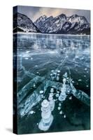 Canada, Alberta, Spray Valley Provincial Park. Frozen methane bubbles in Spray Lakes-Ann Collins-Stretched Canvas