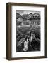 Canada, Alberta, Spray Valley Provincial Park. Frozen methane bubbles in Spray Lakes-Ann Collins-Framed Photographic Print