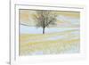 Canada, Alberta, Spruce Grove. Lone Tree in Snow-Covered Field-Jaynes Gallery-Framed Photographic Print