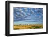 Canada, Alberta, Stavely, Prairie Landscape-Christian Heeb-Framed Photographic Print