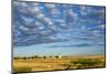 Canada, Alberta, Stavely, Prairie Landscape-Christian Heeb-Mounted Photographic Print