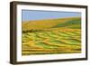 Canada, Alberta, Trochu. Canola swaths in farm field.-Jaynes Gallery-Framed Photographic Print