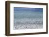 Canada, B.C., Gulf Islands, Portland Island. Shells and Rocks-Kevin Oke-Framed Photographic Print