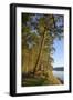 Canada, B.C., Gulf Islands, Wallace Island. Fir Trees Along the Path-Kevin Oke-Framed Photographic Print