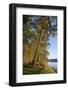 Canada, B.C., Gulf Islands, Wallace Island. Fir Trees Along the Path-Kevin Oke-Framed Photographic Print