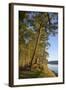 Canada, B.C., Gulf Islands, Wallace Island. Fir Trees Along the Path-Kevin Oke-Framed Photographic Print