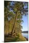 Canada, B.C., Gulf Islands, Wallace Island. Fir Trees Along the Path-Kevin Oke-Mounted Photographic Print