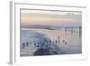 Canada, B.C, Sidney Island. Gulls at Sunset, Gulf Islands National Park Reserve-Kevin Oke-Framed Photographic Print