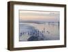 Canada, B.C, Sidney Island. Gulls at Sunset, Gulf Islands National Park Reserve-Kevin Oke-Framed Photographic Print