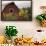 Canada, B.C., Vancouver Island, Cowichan Valley. Sunflowers by a Barn-Kevin Oke-Framed Photographic Print displayed on a wall