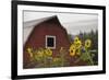 Canada, B.C., Vancouver Island, Cowichan Valley. Sunflowers by a Barn-Kevin Oke-Framed Premium Photographic Print