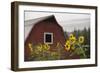 Canada, B.C., Vancouver Island, Cowichan Valley. Sunflowers by a Barn-Kevin Oke-Framed Photographic Print