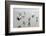 Canada, B.C, Vancouver Island. Gulls Flying on Florencia Beach-Kevin Oke-Framed Photographic Print