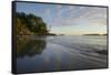 Canada, B.C, Vancouver Island. Surf and Sand at Tonquin Beach-Kevin Oke-Framed Stretched Canvas