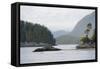 Canada, B.C, Vancouver Island. Trees and Rocks at Tonquin Beach-Kevin Oke-Framed Stretched Canvas