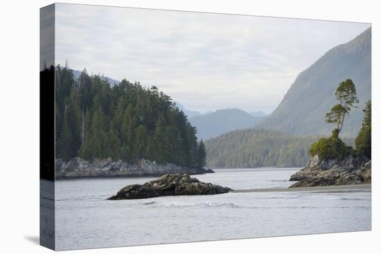 Canada, B.C, Vancouver Island. Trees and Rocks at Tonquin Beach-Kevin Oke-Stretched Canvas