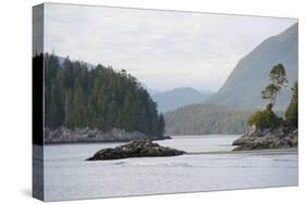 Canada, B.C, Vancouver Island. Trees and Rocks at Tonquin Beach-Kevin Oke-Stretched Canvas