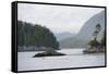 Canada, B.C, Vancouver Island. Trees and Rocks at Tonquin Beach-Kevin Oke-Framed Stretched Canvas