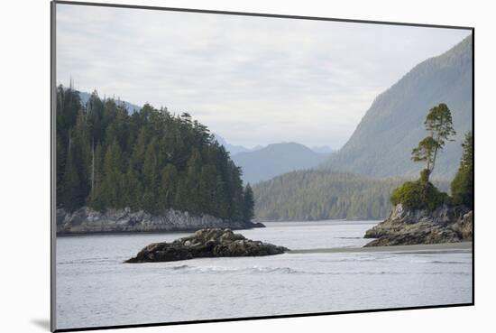 Canada, B.C, Vancouver Island. Trees and Rocks at Tonquin Beach-Kevin Oke-Mounted Photographic Print