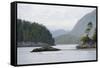 Canada, B.C, Vancouver Island. Trees and Rocks at Tonquin Beach-Kevin Oke-Framed Stretched Canvas