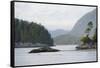 Canada, B.C, Vancouver Island. Trees and Rocks at Tonquin Beach-Kevin Oke-Framed Stretched Canvas